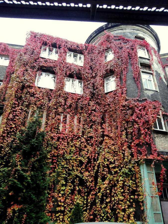 Bristol Economy Bed and Breakfast Μπίτομ Εξωτερικό φωτογραφία